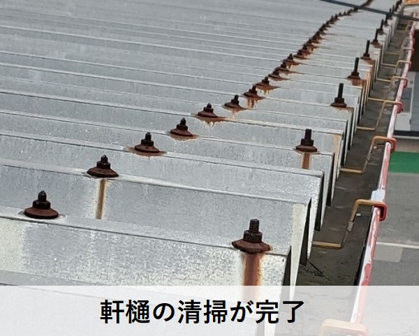 大量のコケを取り除く　軒樋清掃が完了